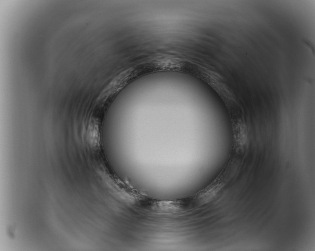 X0000100230622200806061411