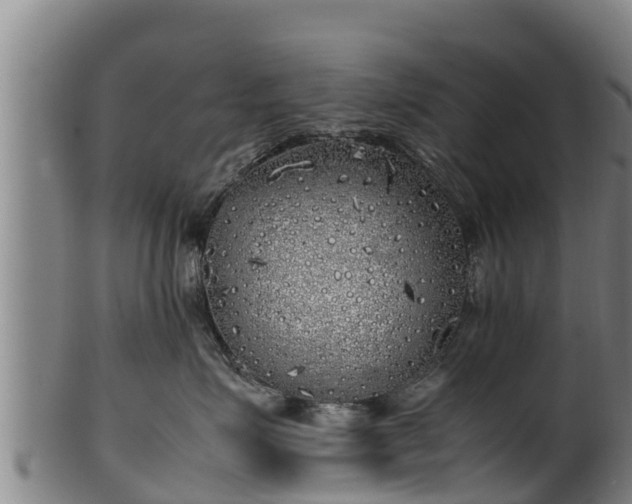 X0000100230623200806061411