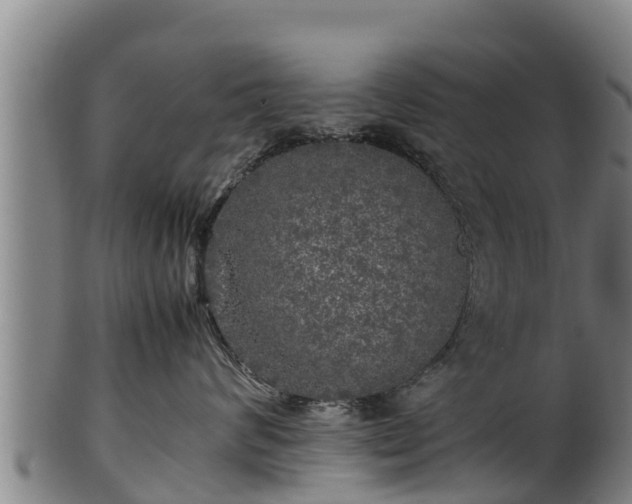 X0000100230624200806061410