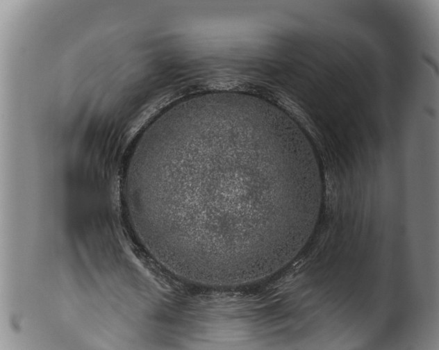 X0000100230626200806061410