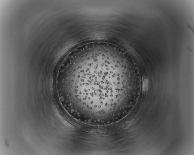 X0000100230627200806061410