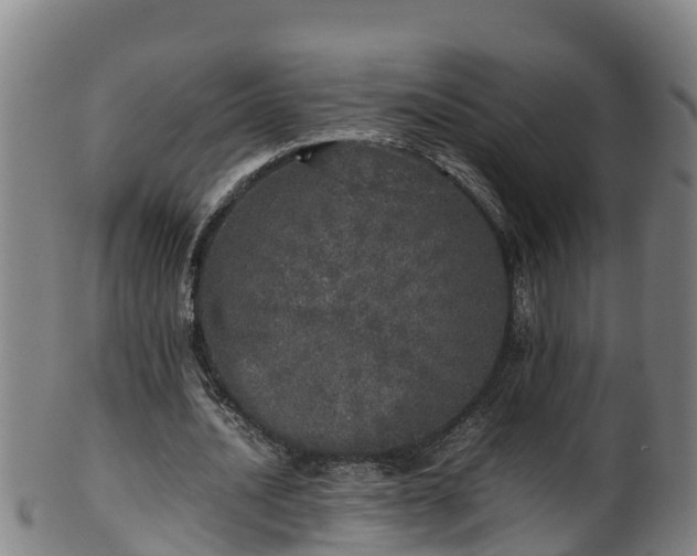 X0000100230628200806061410