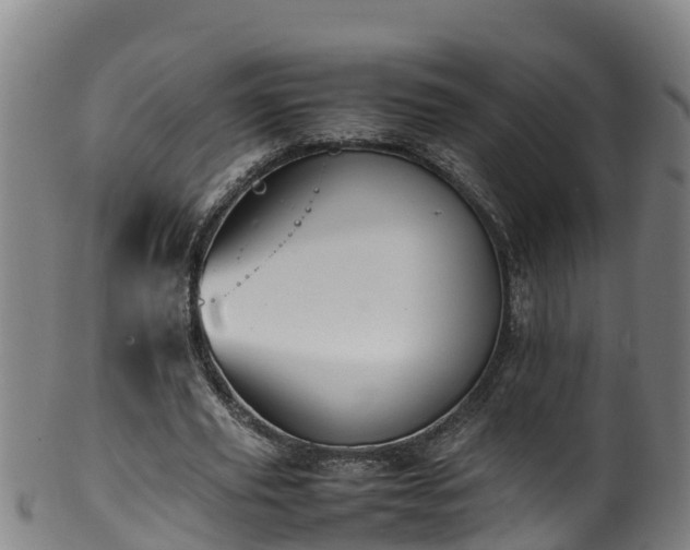 X0000100230629200806061410