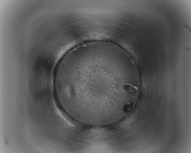 X0000100230630200806061410