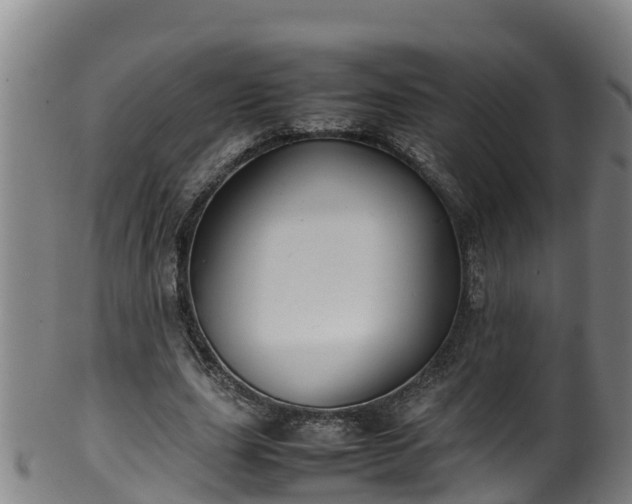 X0000100230631200806061410