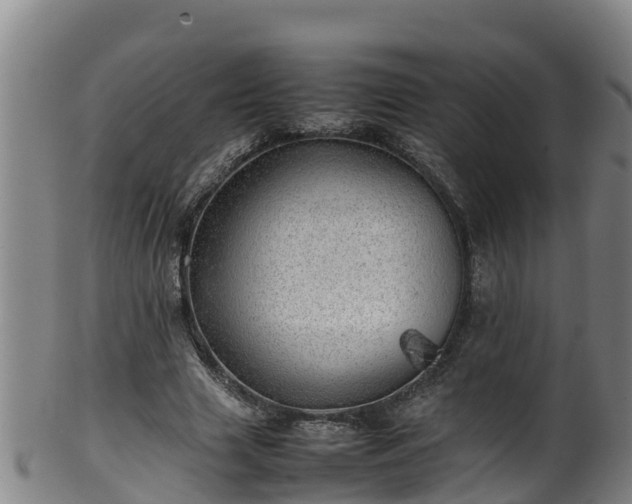 X0000100230633200806061410