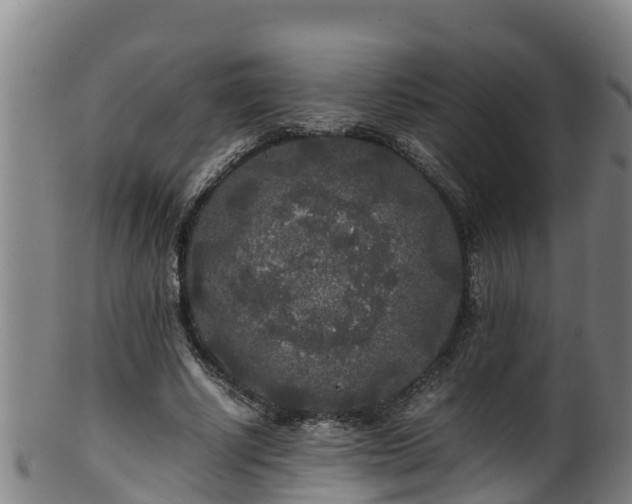 X0000100230634200806061410