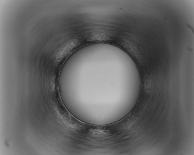 X0000100230635200806061410