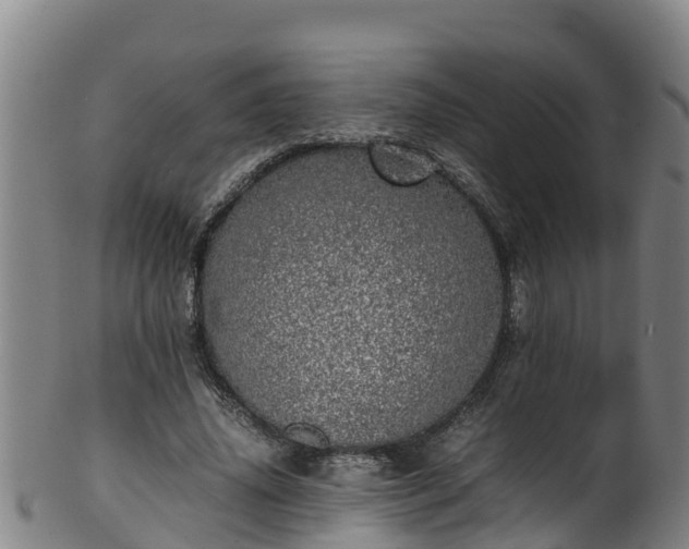 X0000100230636200806061410