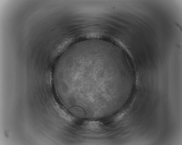 X0000100230637200806061410