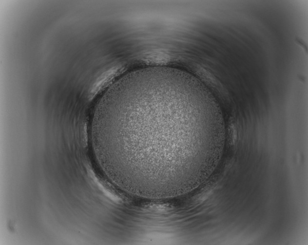 X0000100230638200806061410