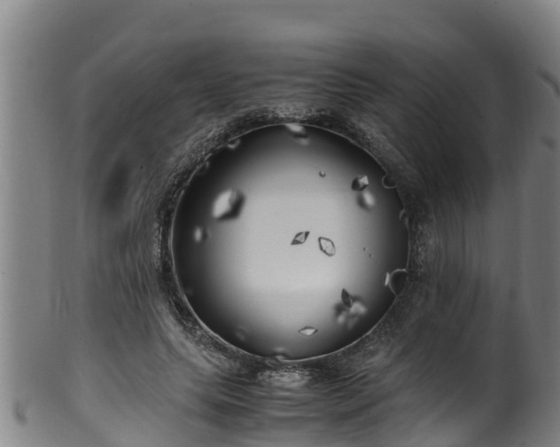 X0000100230639200806061410