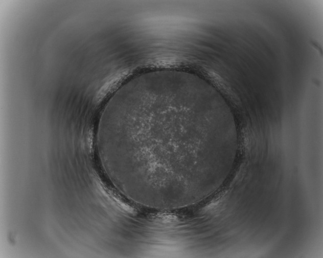 X0000100230640200806061410