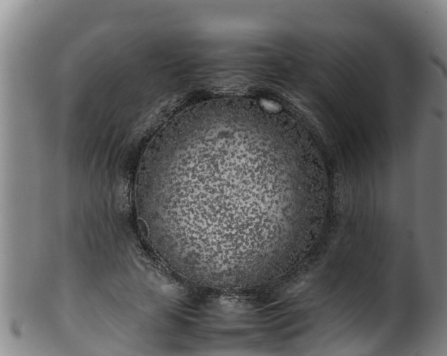 X0000100230641200806061410