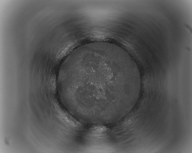 X0000100230642200806061410