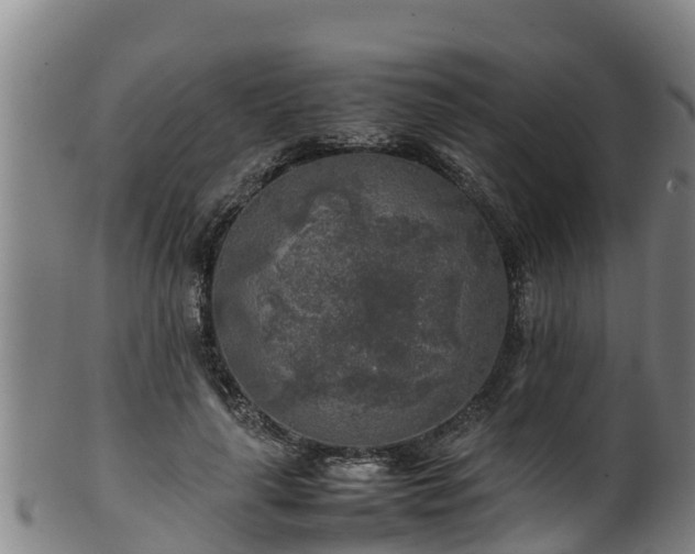 X0000100230643200806061410