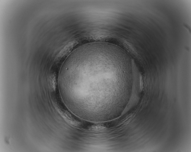 X0000100230644200806061410