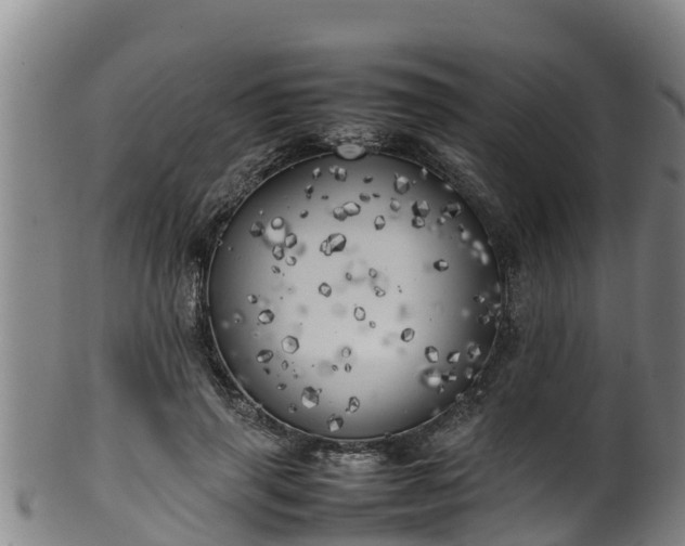 X0000100230645200806061410