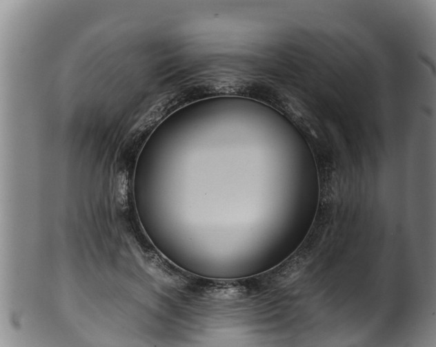 X0000100230646200806061410