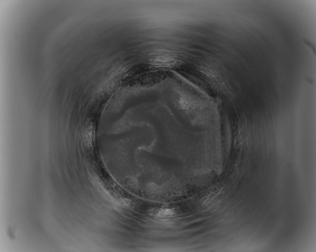 X0000100230647200806061410