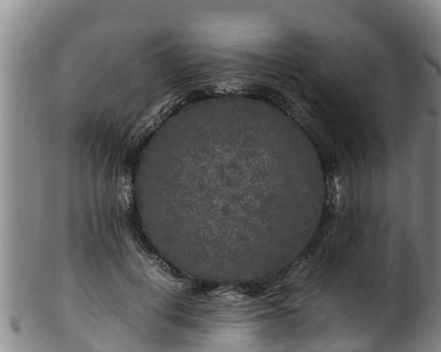 X0000100230648200806061410