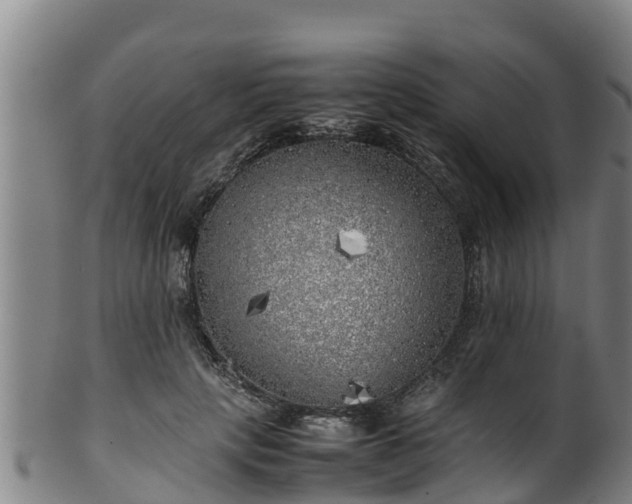X0000100230649200806061410
