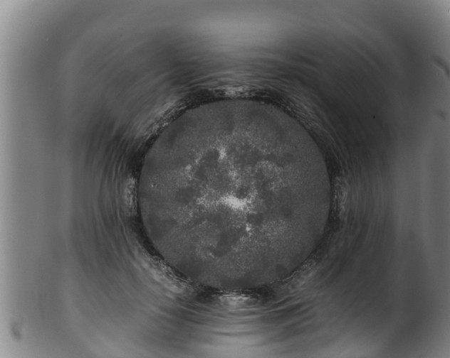 X0000100230650200806061410