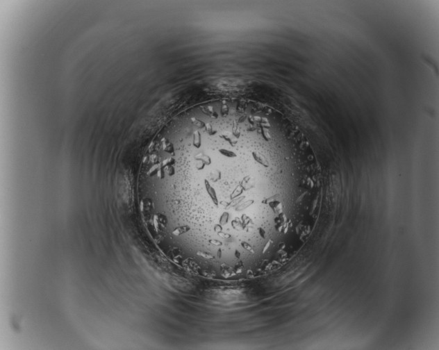 X0000100230651200806061410