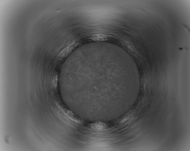 X0000100230652200806061410