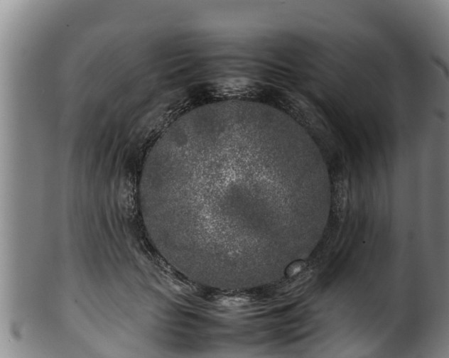 X0000100230653200806061410