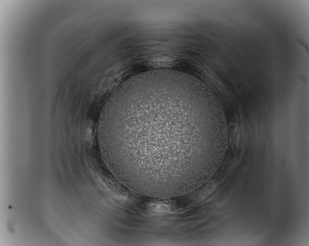 X0000100230655200806061410