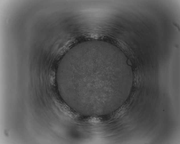 X0000100230656200806061410