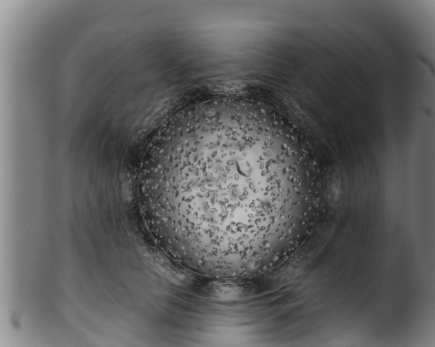 X0000100230658200806061410