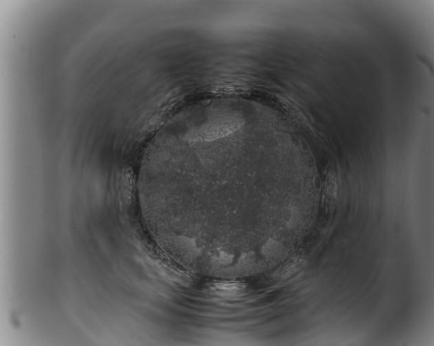 X0000100230659200806061410