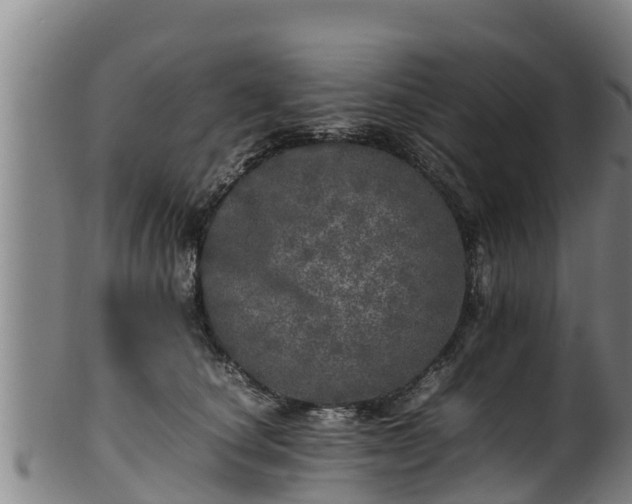 X0000100230660200806061410