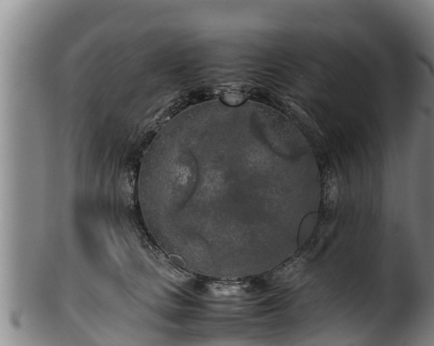 X0000100230661200806061410