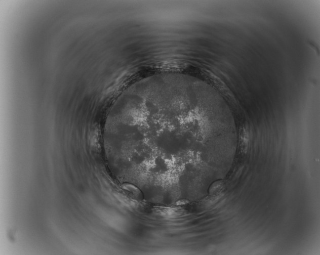 X0000100230663200806061410