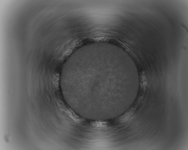 X0000100230664200806061410