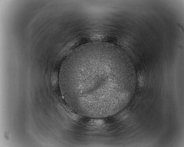 X0000100230665200806061410