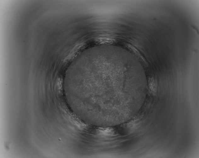 X0000100230667200806061410