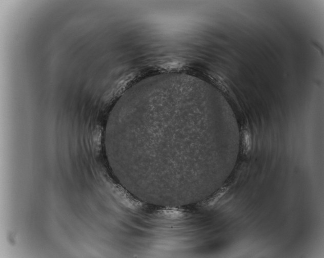 X0000100230668200806061410