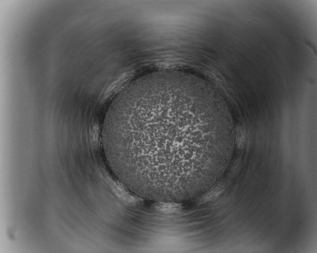 X0000100230670200806061410