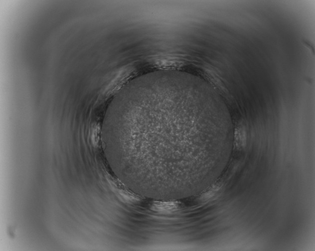 X0000100230671200806061410