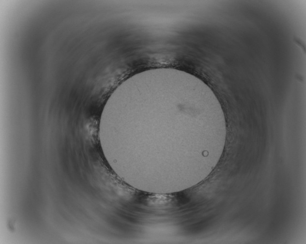 X0000100230672200806061410