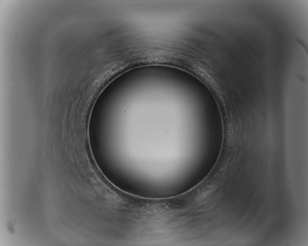 X0000100230673200806061410