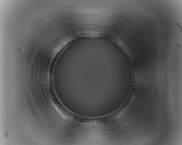 X0000100230674200806061410