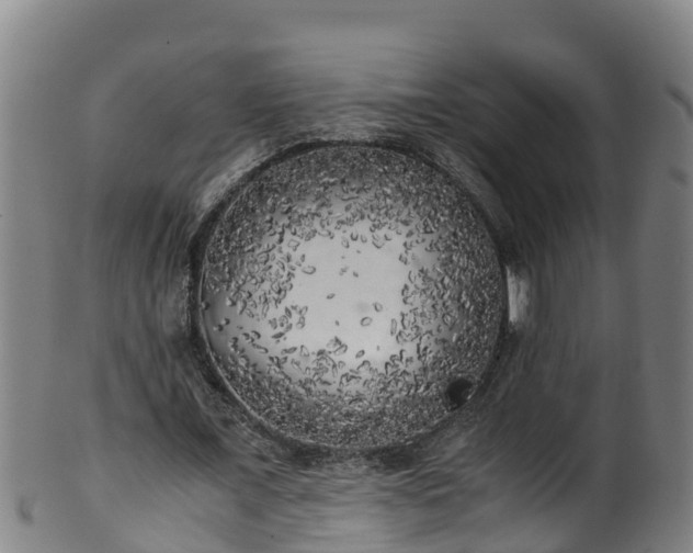 X0000100230675200806061410