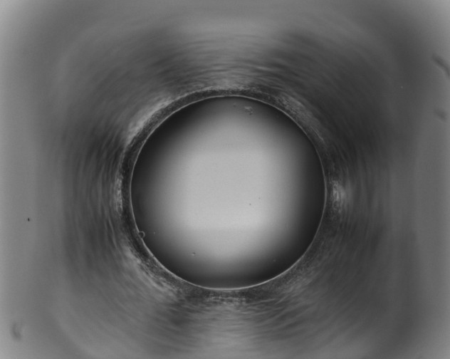 X0000100230676200806061410