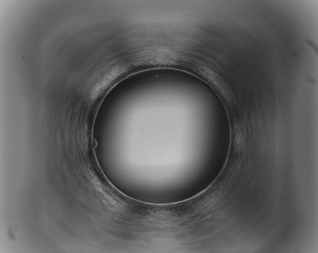 X0000100230677200806061410