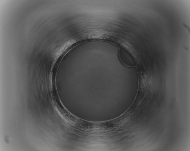 X0000100230678200806061410